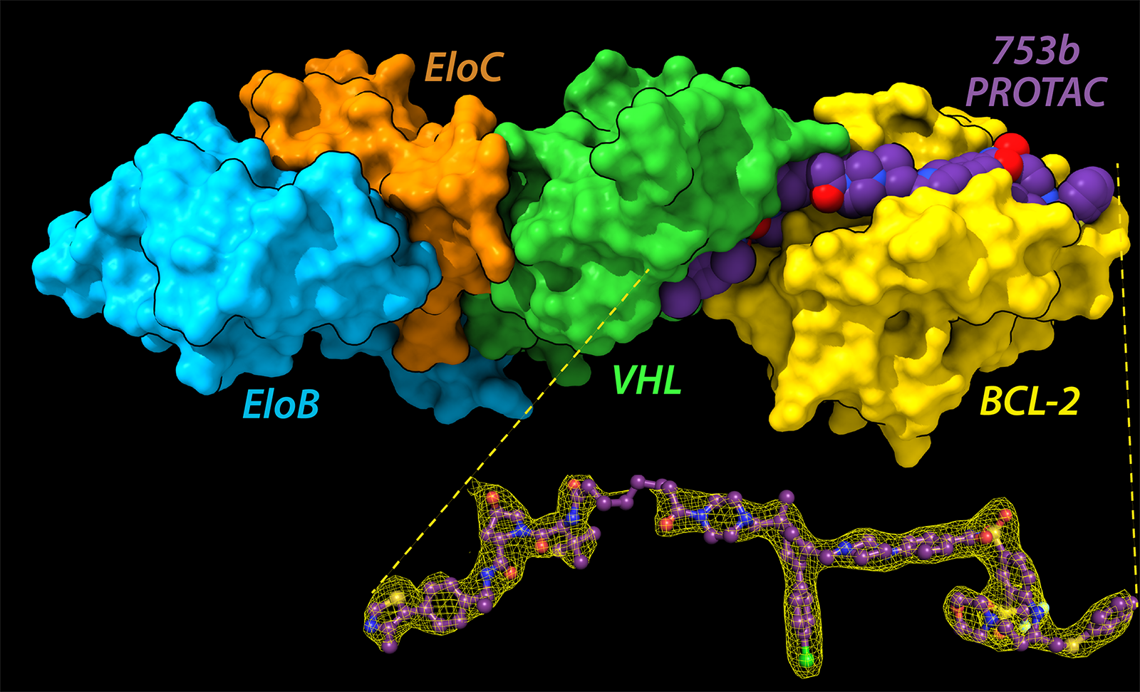 A multicolored illustration of an X-ray crystallography structure.