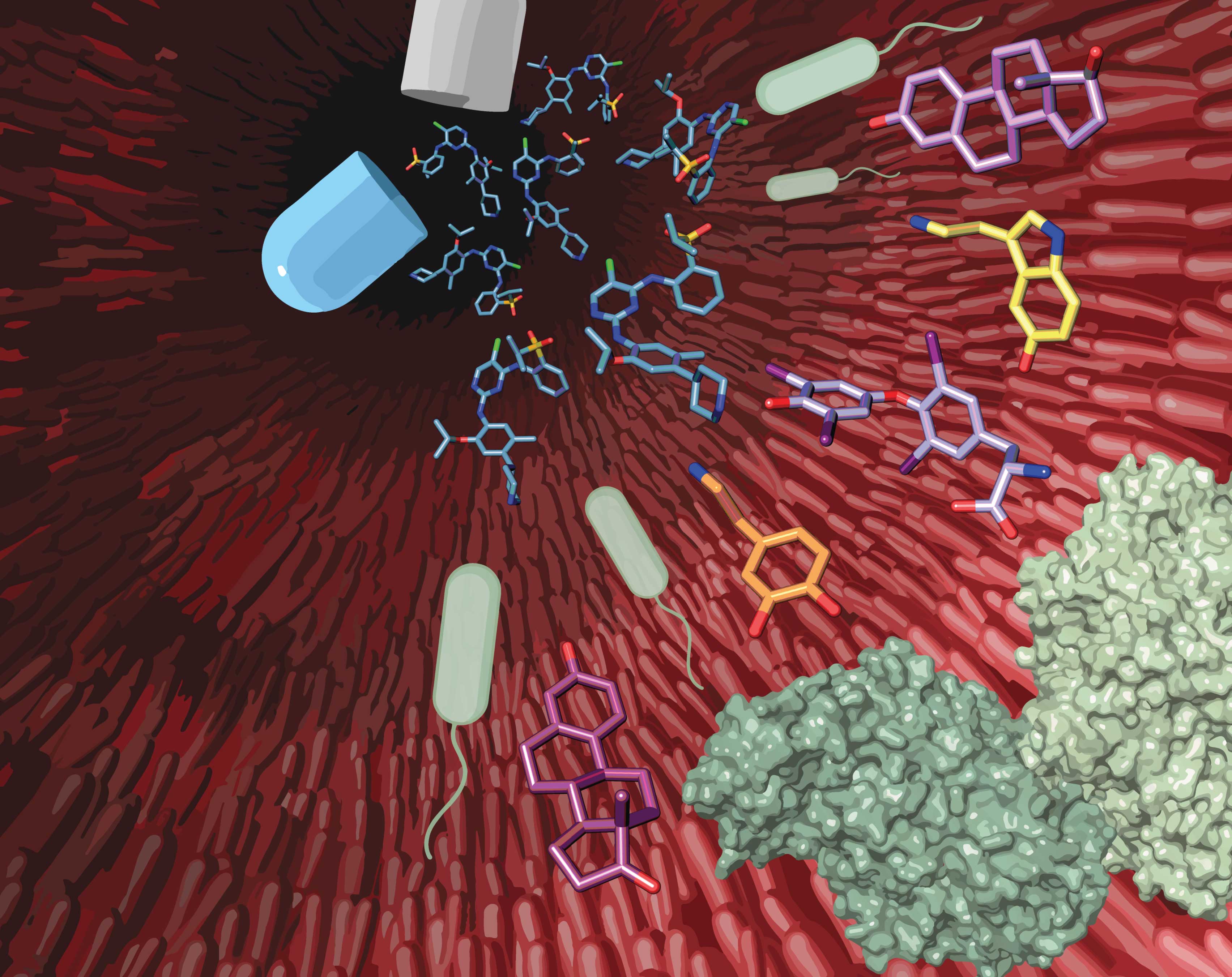 A detailed illustration of drug capsules affecting gut microbial enzymes.