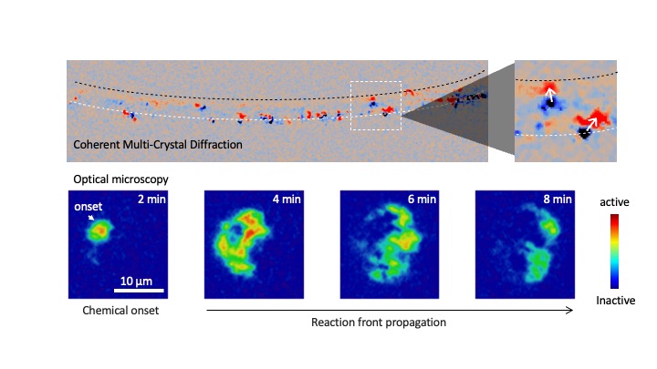 Graphics showing coherent multi-crystal diffraction as a series of colored dots on a curved line and optical microscopy data as colored shapes on blue backgrounds.