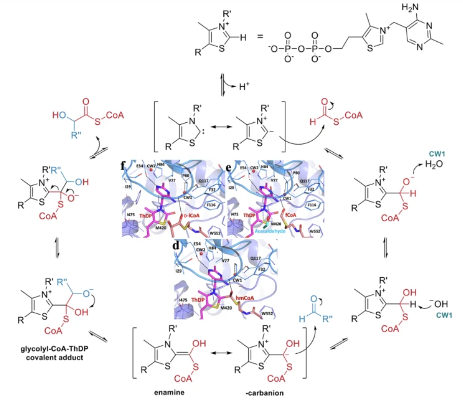 Images of chemical diagrams surrounding structural data from X-ray studies.