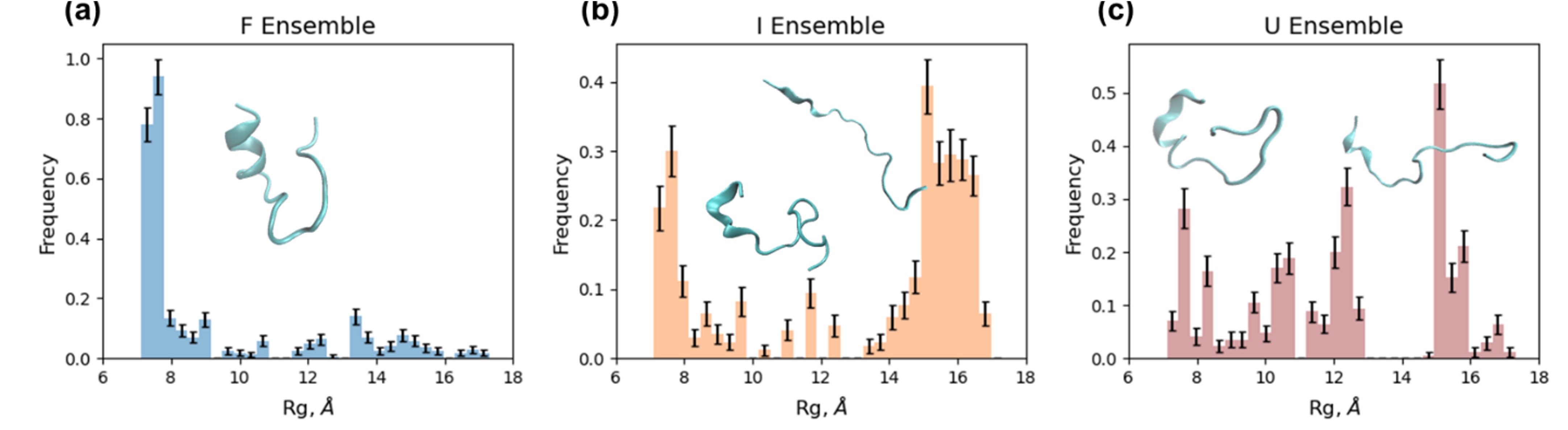 Fig 1. The refined structures from analysis of TRXSS data showed that larger Trp-cage structures were more populated in the I (intermediate) and U (unfolded) states. 